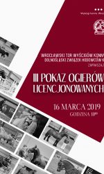 Pokaz ogierów -Partynice