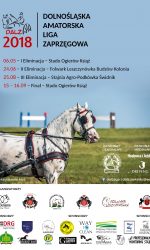 Amatorskie Zawody Zaprzęgowe – Książ