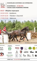 III Eliminacja V Jubileuszowej Edycji Dolnośląskiej Amatorskiej Ligi Zaprzęgowej 2018