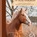 Zdjęcia ogierów-KATALOG ogierów 2021 r.