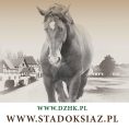 XV Krajowy Czempionat Młodzieży Koni Rasy Śląskiej