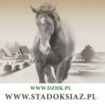 XV Krajowy Czempionat Młodzieży Koni Rasy Śląskiej