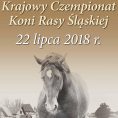 XIV Krajowy Czempionat Młodzieży Koni Rasy Śląskiej
