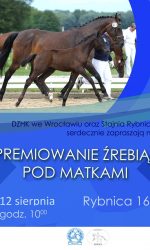 Premiowanie Źrebiąt Pod Matkami 12.08.2018 – Rybnica