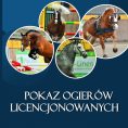 Pokaz ogierów -Partynice