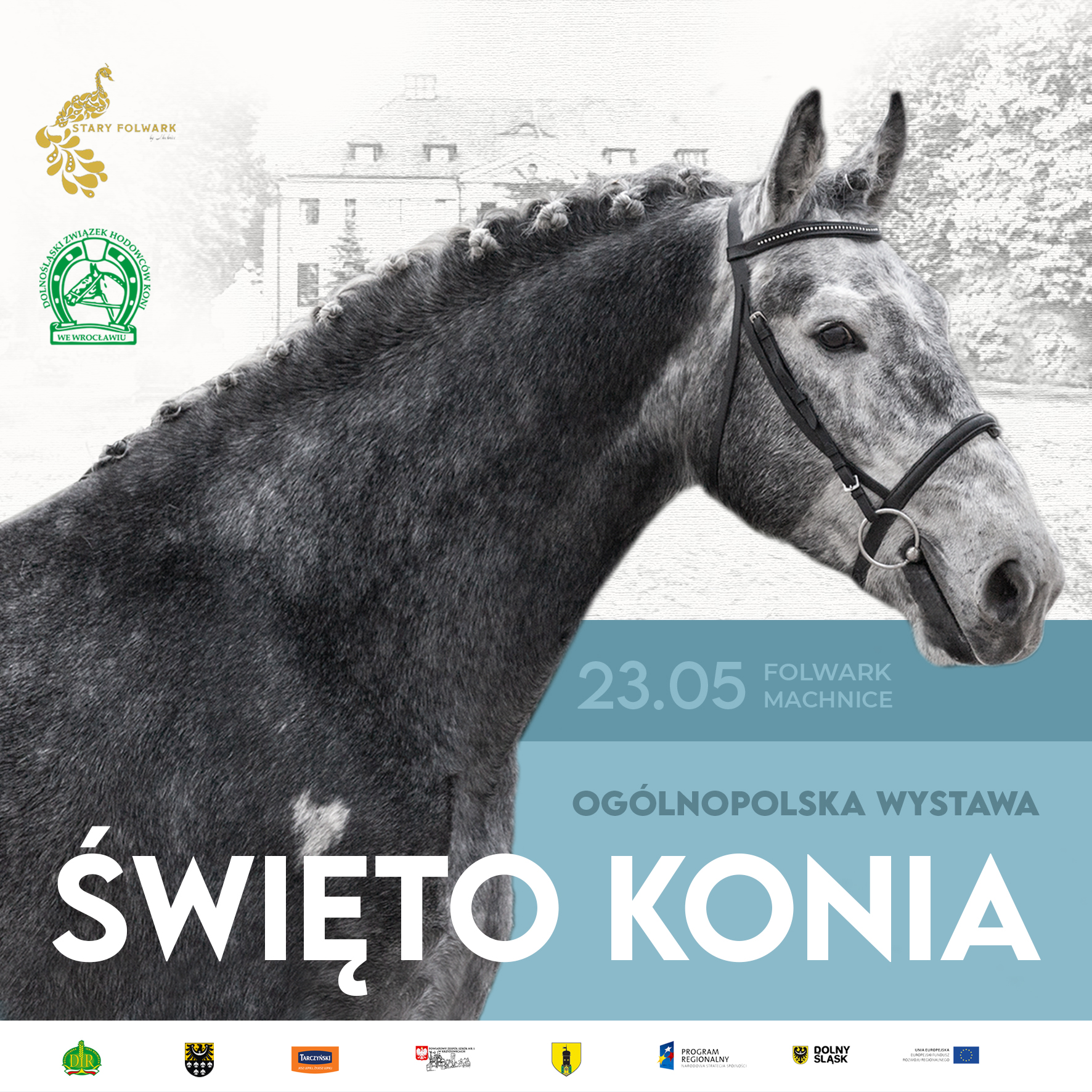 Święto Konia – Wystawa Młodzieży Hodowlanej