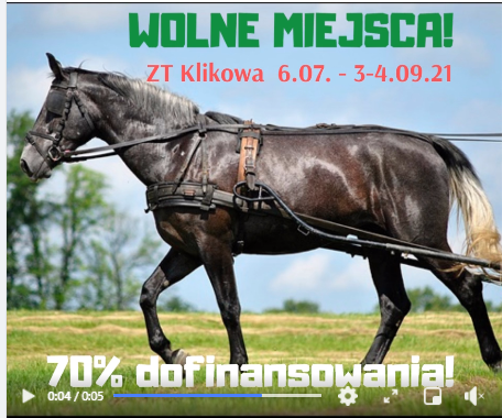 Trening zaprzęgowy klaczy ras_szlachetnych