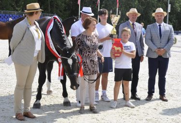 zdjęcie z galerii