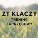 Zaprzęgowa próba dzielności klaczy