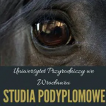 Studia podyplomowe-UP we Wrocławiu