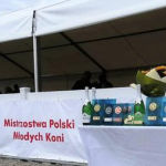 Mistrzostwa Polski Młodych Koni