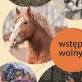 XVIII Regionalna Wystawa Zwierząt Hodowlanych Wrocław 2024