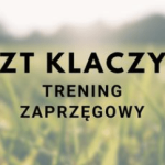 Trening Zaprzęgowy w ZT Klikowej