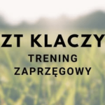 Zakłady Treningowe dla klaczy rasy śląskiej i innych ras szlachetnych.