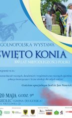 Święto Konia – Ogólnopolska Wystawa Młodzieży Hodowlanej – 16.06.2019