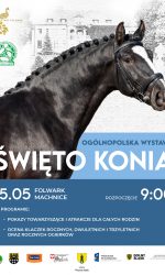 Święto Konia 2022 – Wystawa Młodzieży Hodowlanej