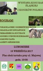 Wystawa Hodowlana Młodzieży Rasy Śląskiej i Konik Polski  16.09.2017 – Lubomierz