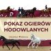 Pokaz Ogierów Hodowlanych 2026