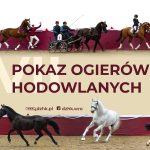 Pokaz Ogierów Hodowlanych 2026