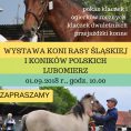 Wystawa Hodowlana Młodzieży rasy śląskiej i konik polski