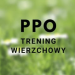 Dodatkowa kwalifikacja dla ogierów szlachetnych